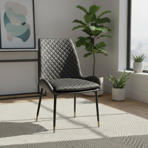 Leather Steel Legs Dining Chairs (Set of 2) - Grey
